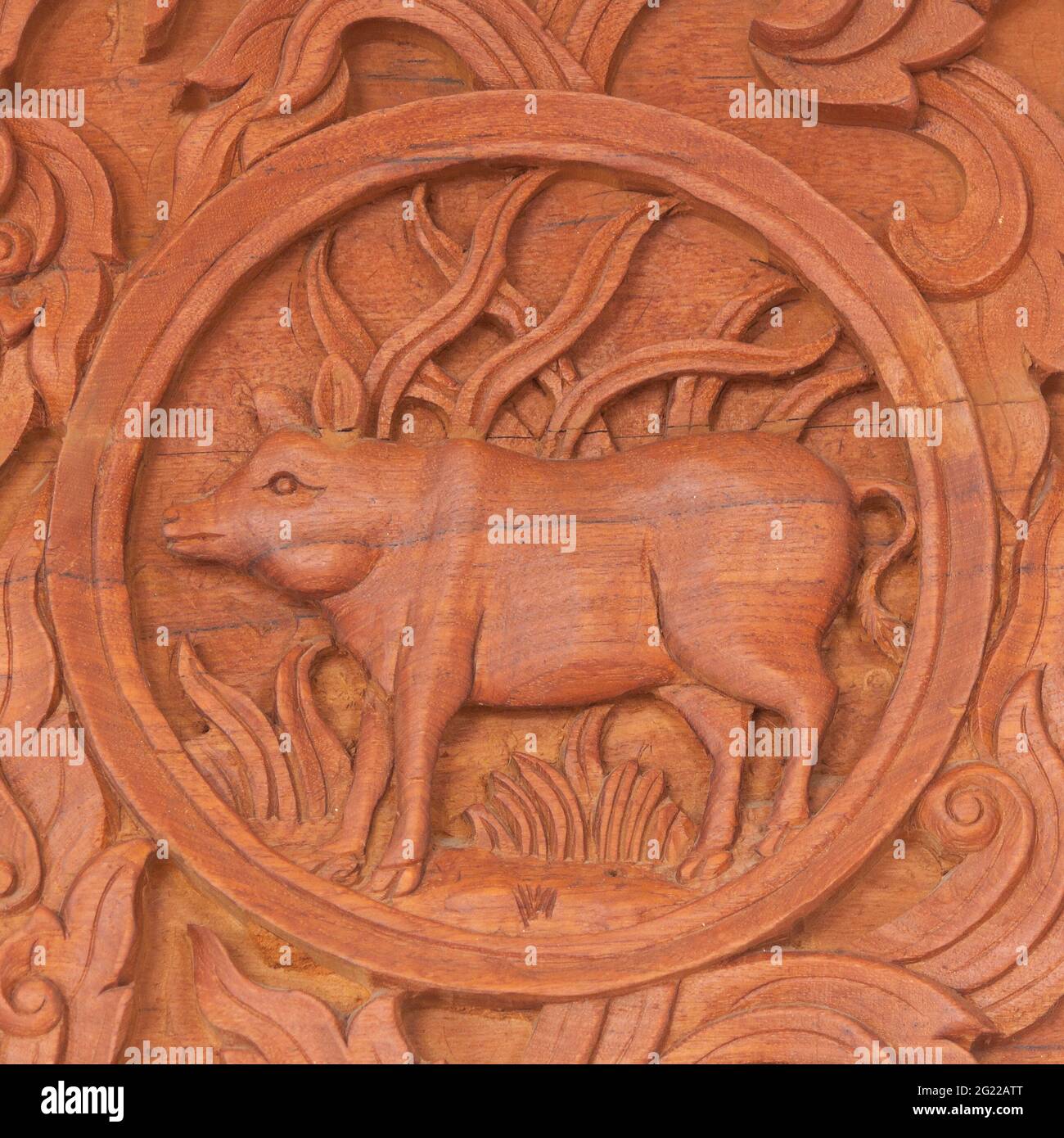Wood carving of pig Chinese zodiac animal sign Stock Photo Alamy