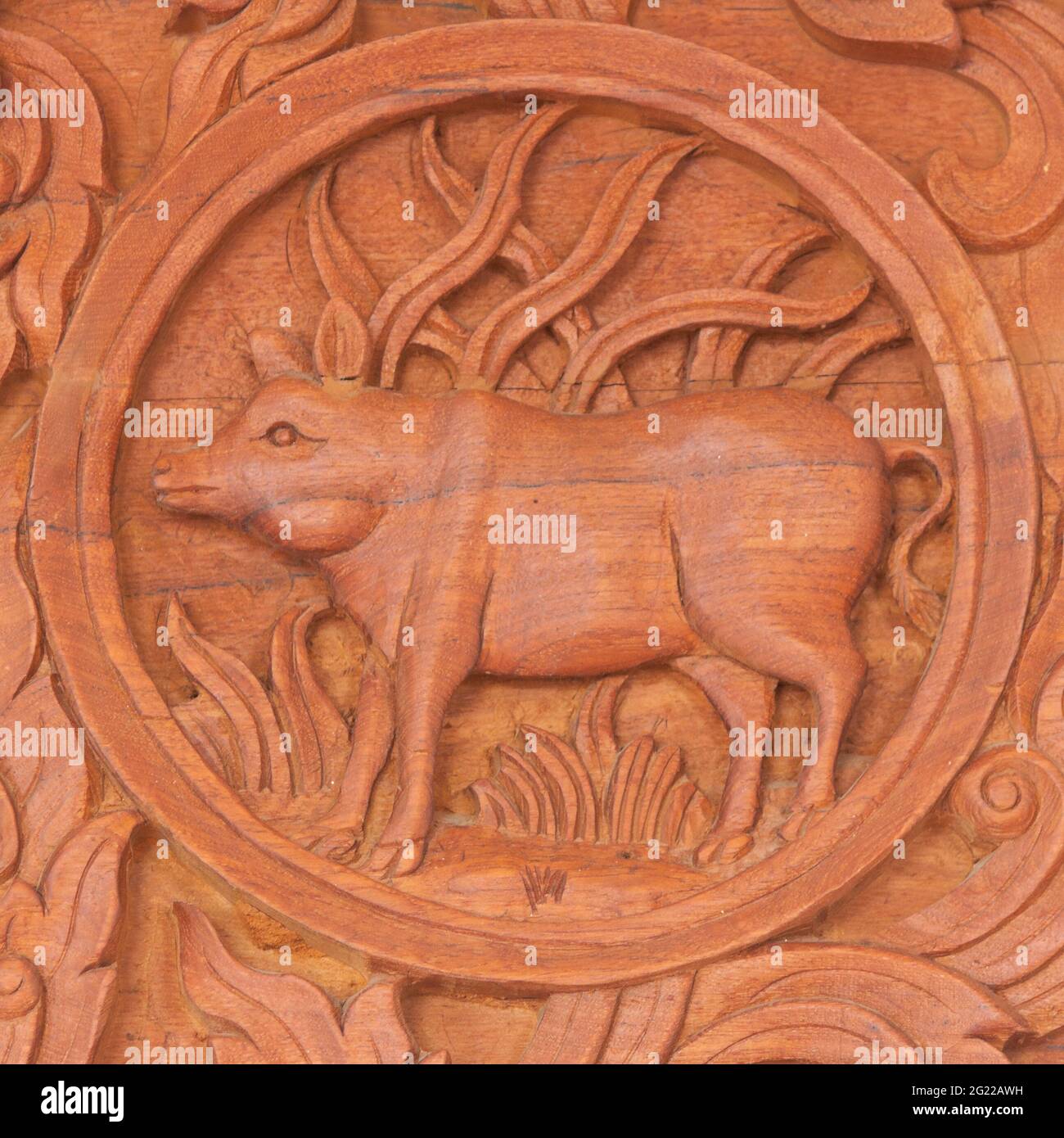 Wood carving of pig Chinese zodiac animal sign Stock Photo Alamy