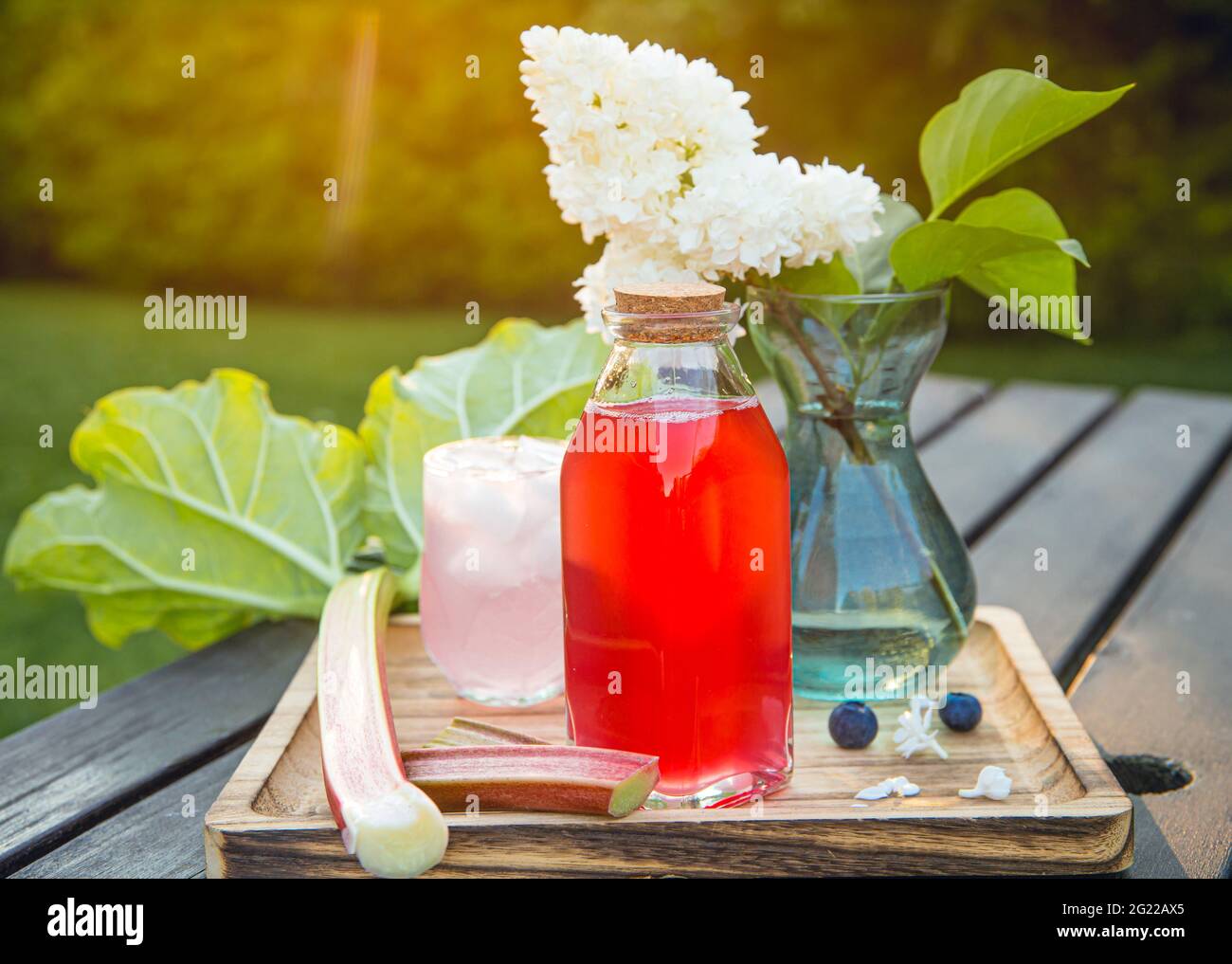 Homemade rhubarb syrup ( Rheum hybridum ). Nice pink liquid syrup in bottle and glass with juice and ice cubes in drinking glass on tray. Stock Photo
