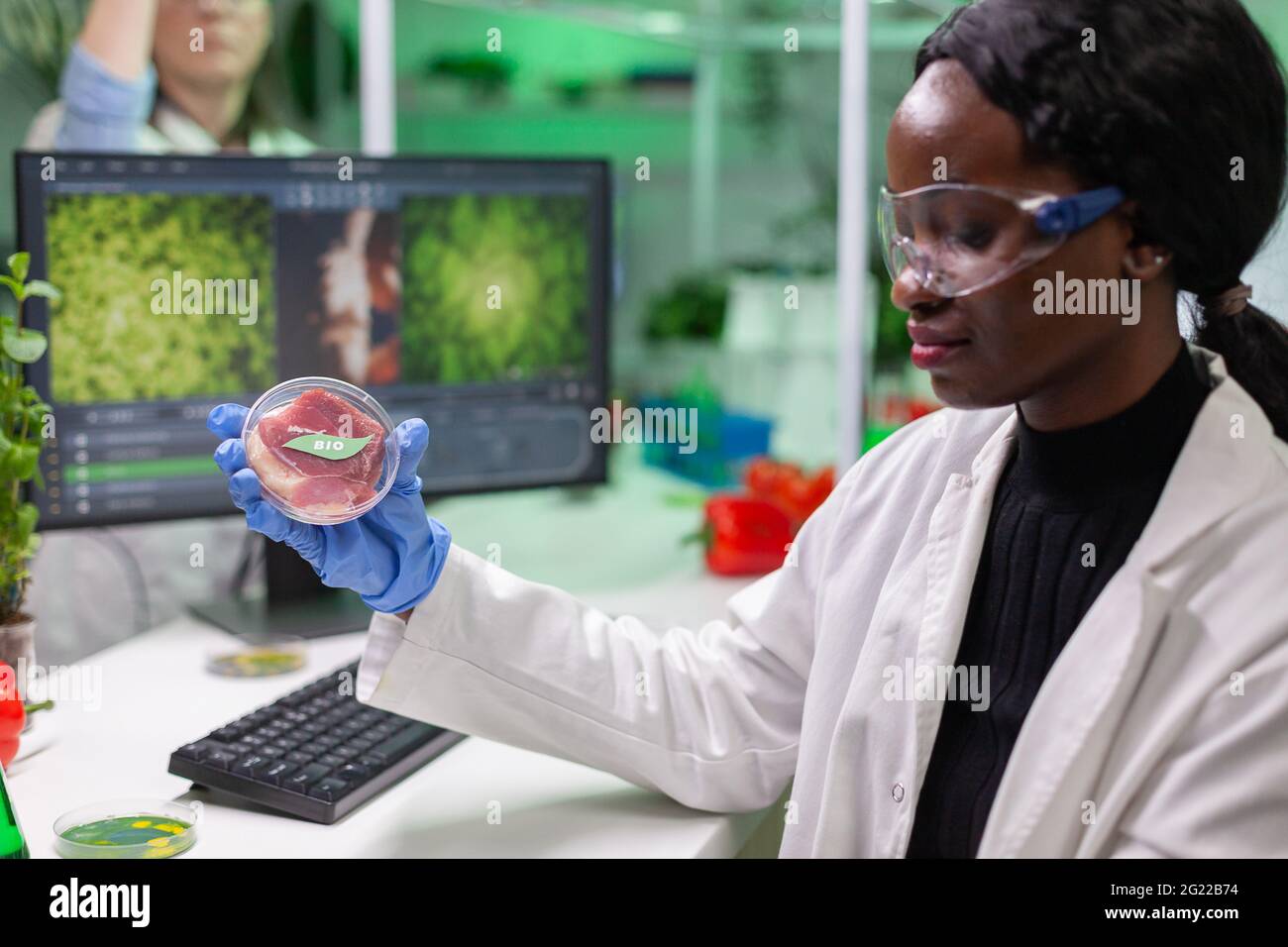 Meat Biochemistry African chemist woman analyzing vegan beef meat for biochemistry ...