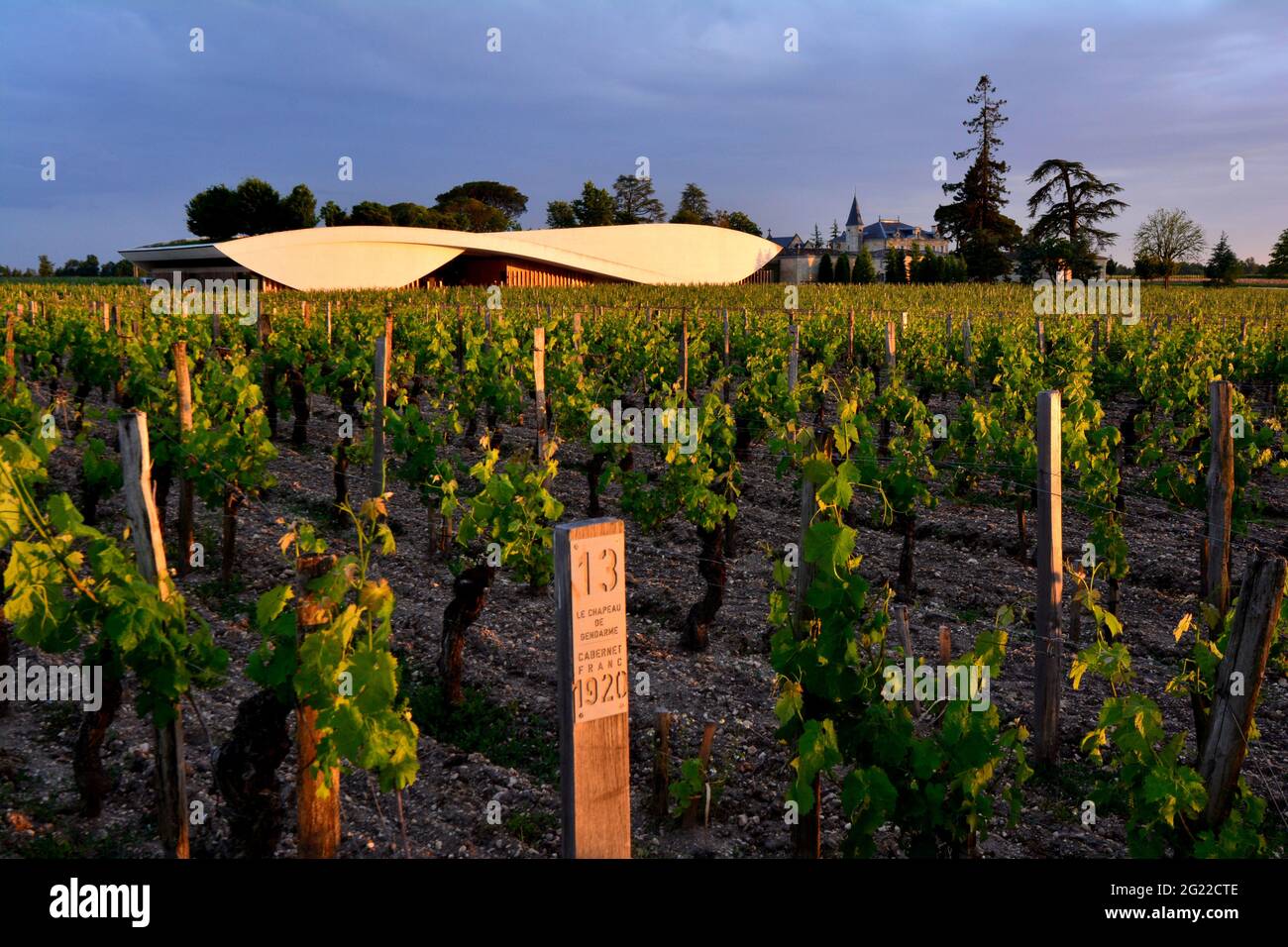 Cheval blanc hi-res stock photography and images - Alamy