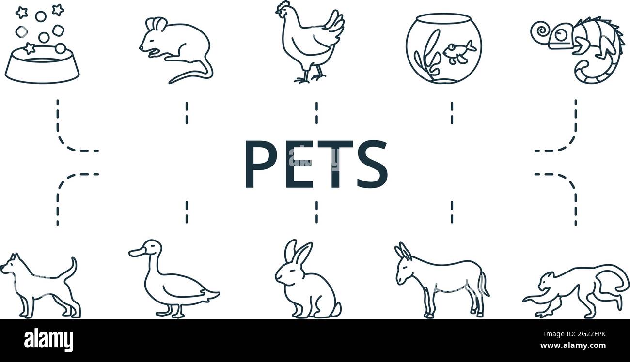 Pets icon set. Contains editable icons theme such as aquarium, monkey ...
