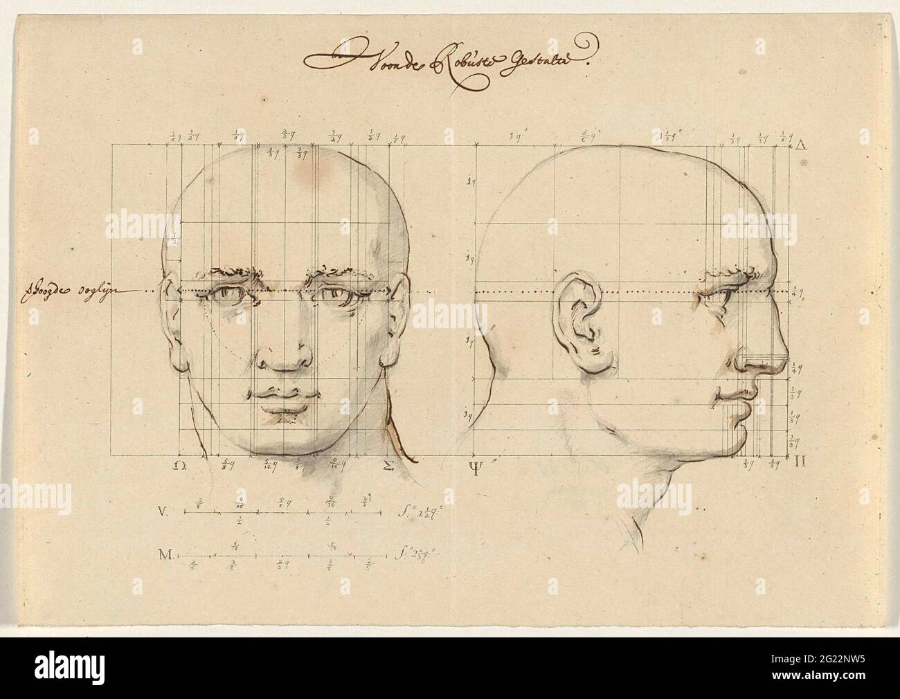 Study of a male head; For the robust form. Studies of a man's head in ...