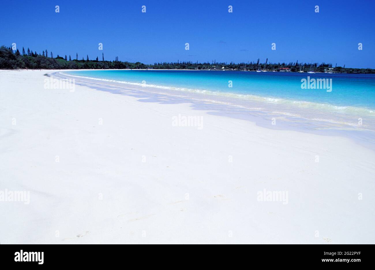 FRANCE. NEW CALEDONIA, PINE ISLAND, KUTO'S BEACH AND THE COLONAIRES PINES Stock Photo
