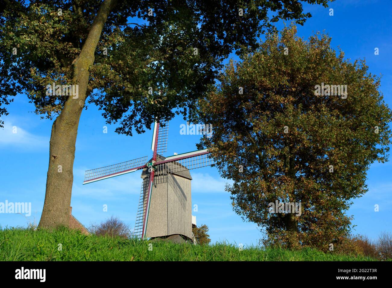 Boeschepe (northern France): the Windmill of Ingratitude (Ondankmeulen) Stock Photo