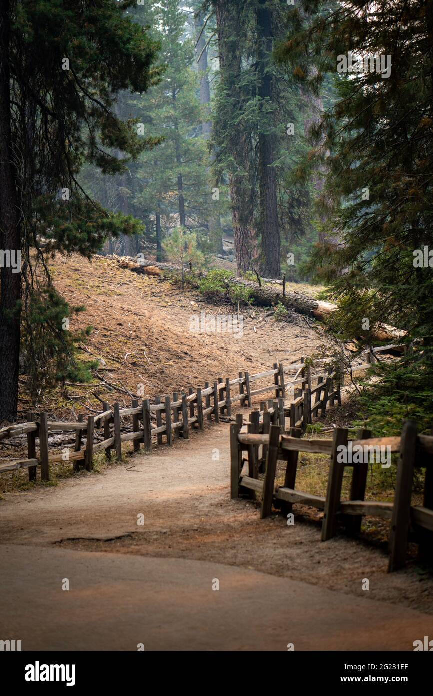 Winding walking trail in the King's Canyon national park area. Stock Photo