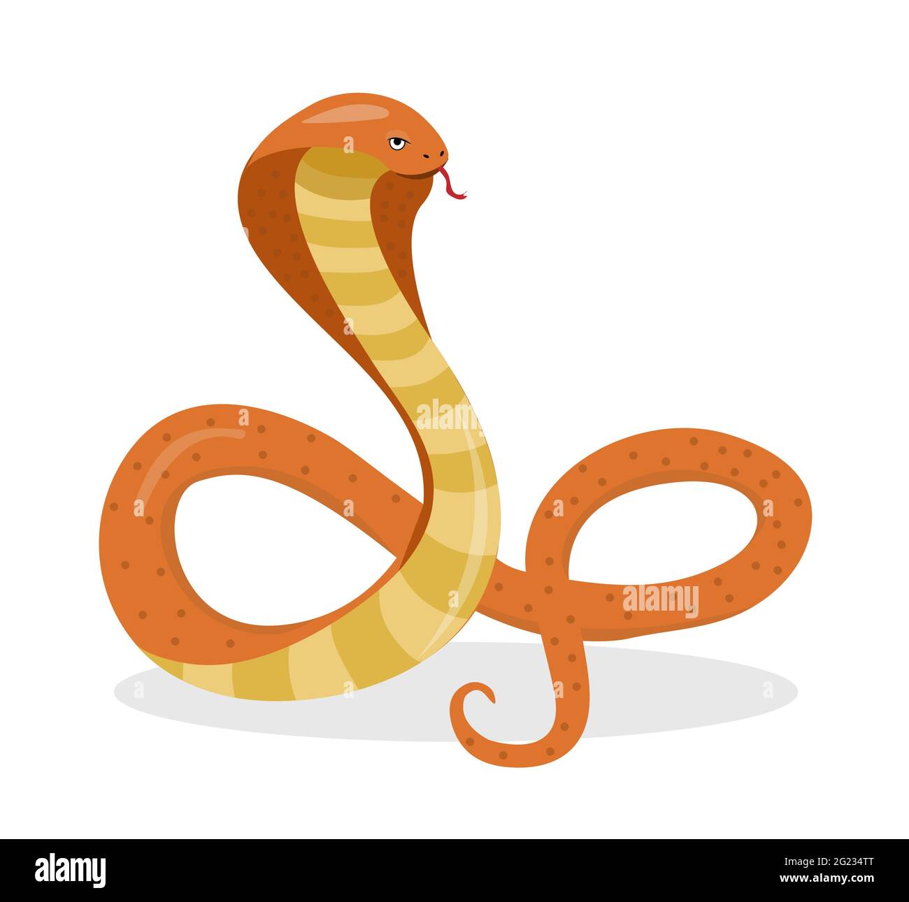 King cobra flat cartoon style. Snake isolated on white background, logo  element. Vector illustration Stock Vector Image & Art - Alamy