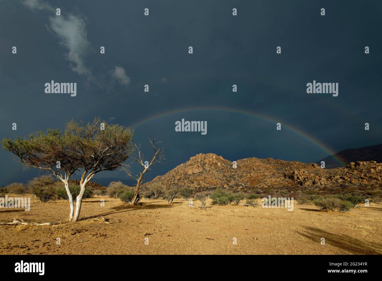 Guest farm Omandumba: Rainbow rain and rain clouds over Erongo montains, rainy season, near Omaruru Erongo Region, Namibia Stock Photo