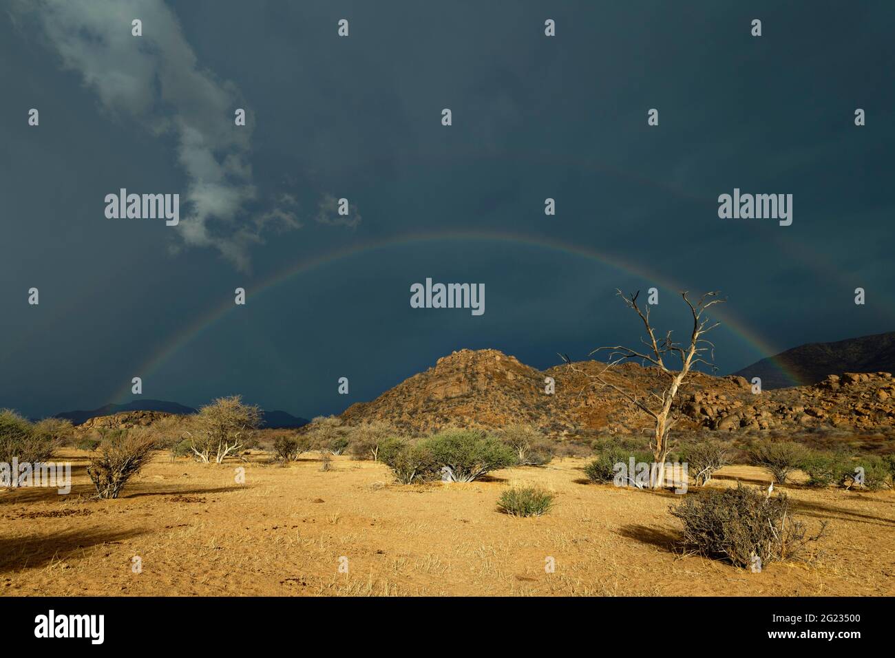 Guest farm Omandumba: Rainbow rain and rain clouds over Erongo montains, rainy season, near Omaruru Erongo Region, Namibia Stock Photo