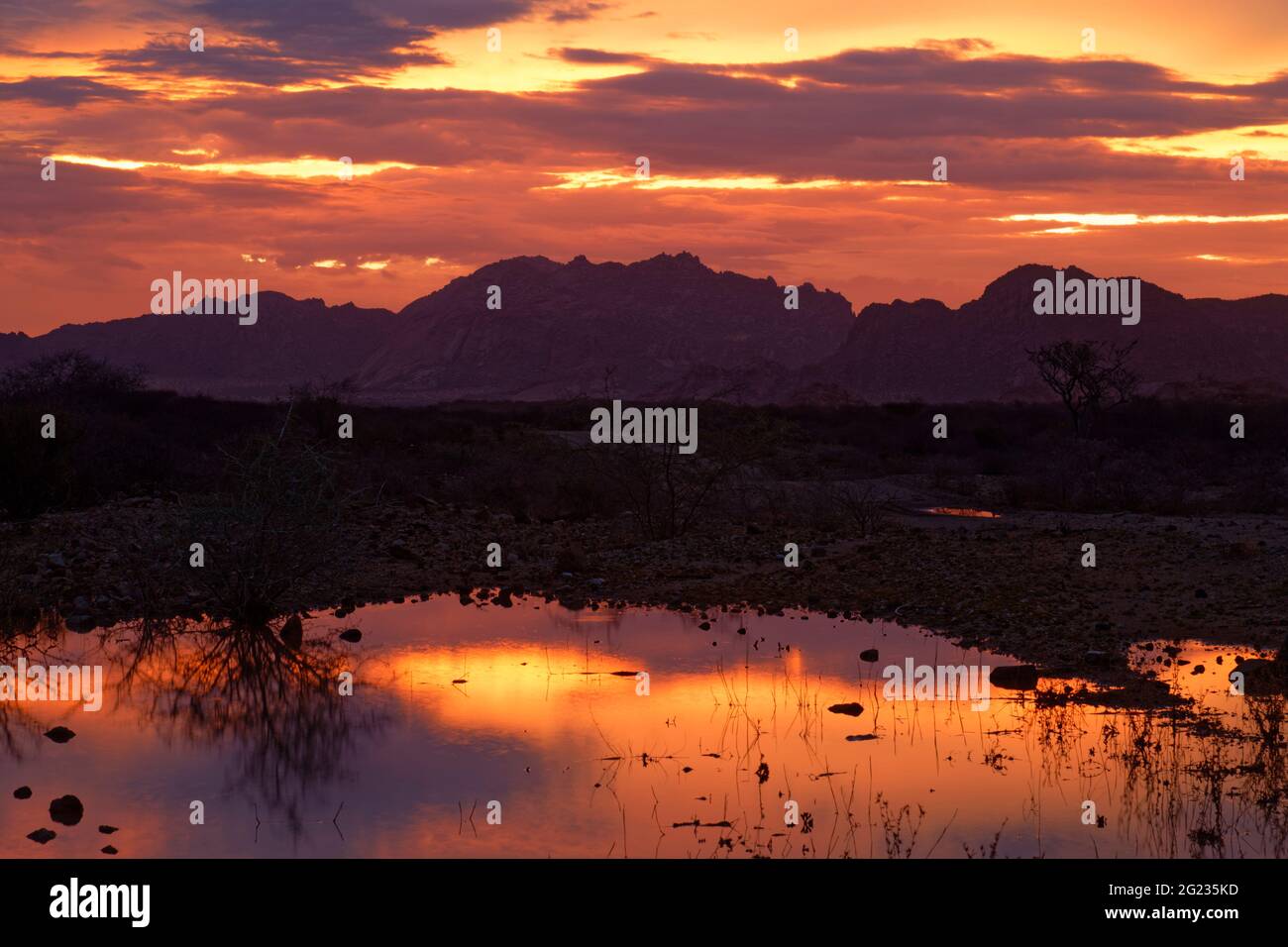 Near guest farm Omandumba: Sunset over Erongo Mountains, evening sky reflecting in puddle, rainy season, near Omaruru, Erongo Region, Namibia Stock Photo