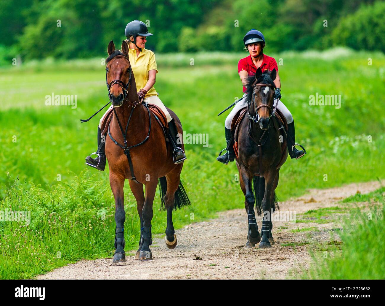 Two young women riding horses on a sunny afternoon through woodlands