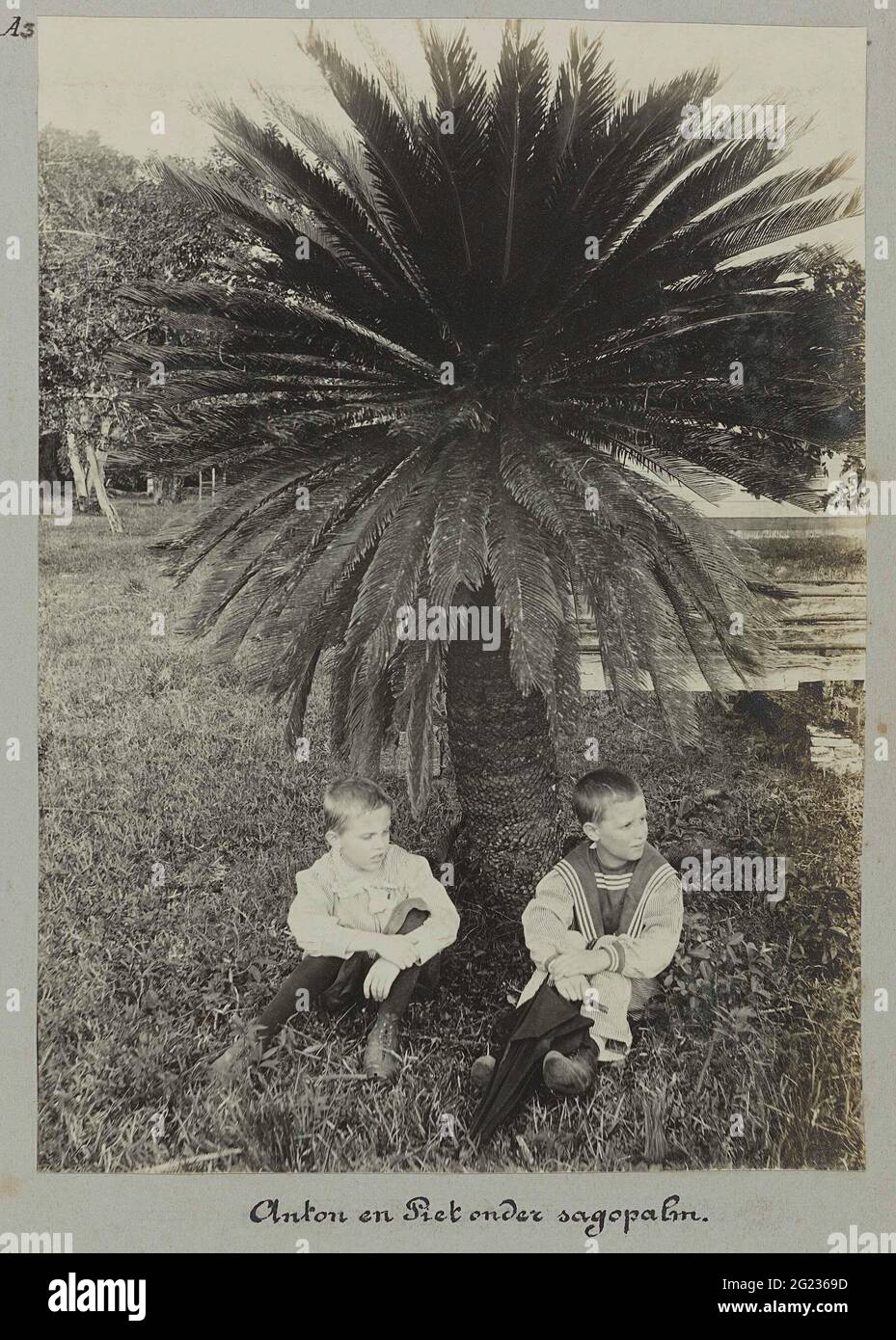 Anton and Piet under Sagopalm. (Tourneon). Two Dutch boys named Anton and Piet sitting under a sagopalm on the Tourton Plantation. Part of the photo album souvenir de Voyage (part 1), about the life of the DOIER family in and around the plantation ma retreat in Suriname in the years 1906-1913. Stock Photo