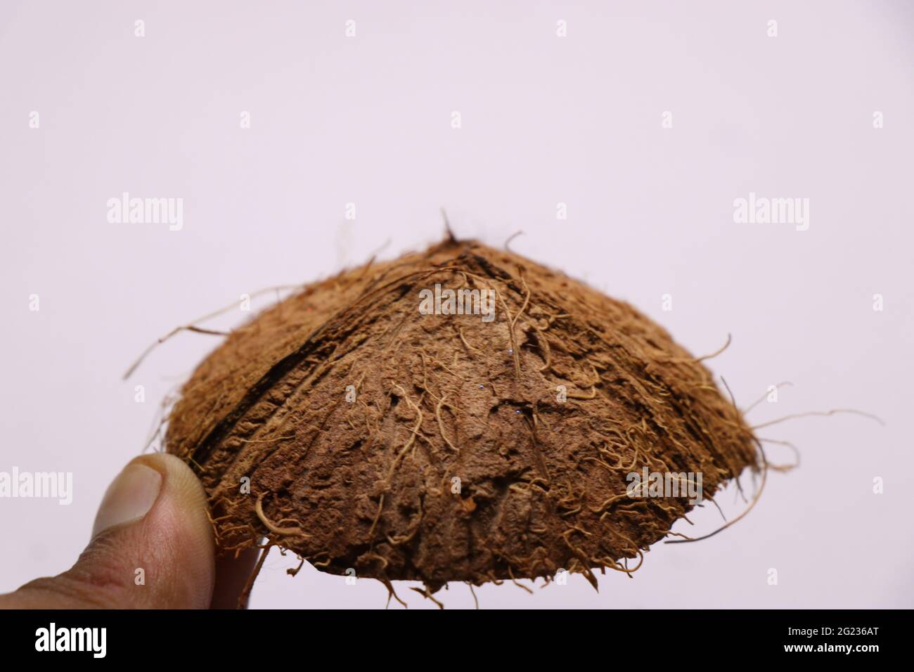 Small part of coconut shell separated from main piece on white background hand held Stock Photo
