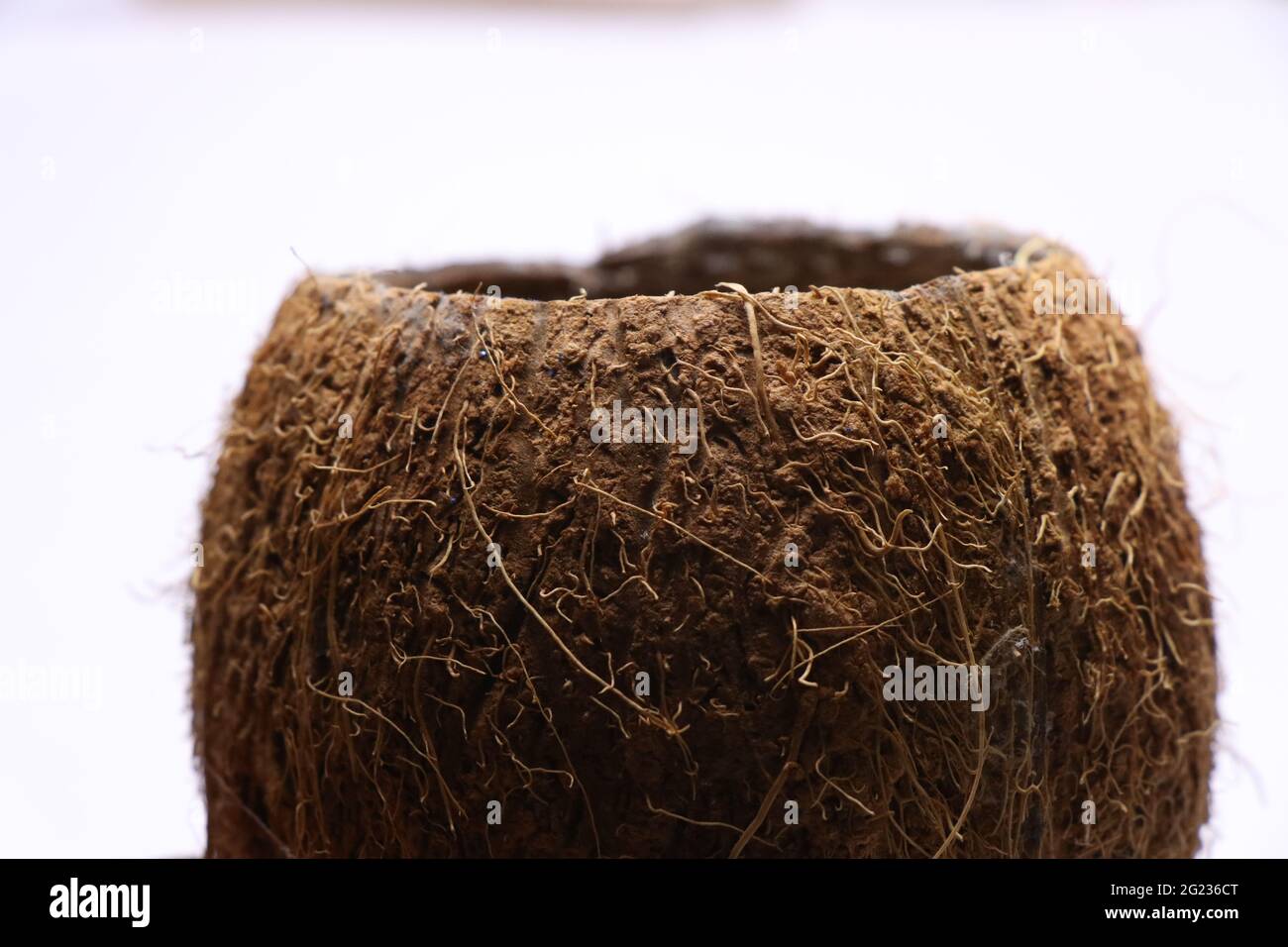 Close-up of fibers from coconut shell. Empty shell of coconut Stock Photo