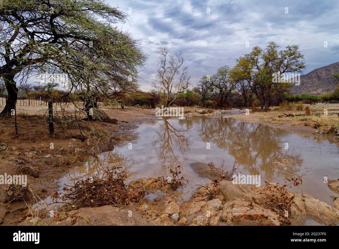 Farm Omandumba-Ost in the Erongo mountains: River in rainy season, near Omaruru,  Erongo Region, Namibia Stock Photo