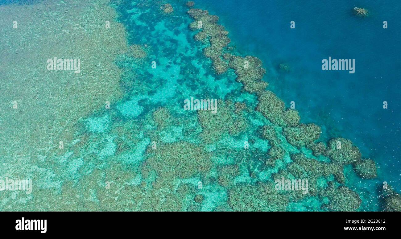 (210608) -- SYDNEY, June 8, 2021 (Xinhua) -- Aerial photo taken on June 2, 2021 shows the Great Barrier Reef in Queensland, Australia. The Great Barrier Reef, the world's largest coral reef in Australia's state of Queensland, is described as the 'planet's most beautiful marine environment' and is the main conservation target of the Citizens of the Great Barrier Reef, a charity cooperative organization that runs a series of preserving programs. To celebrate World Oceans Day (WOD) on Tuesday, Xinhua spoke with Andy Ridley, the energetic chief executive of Citizens of the Great Barrier Reef, ab Stock Photo