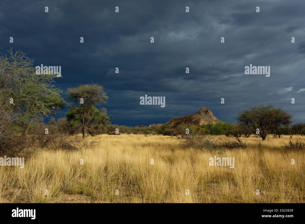 Rain clouds above Omaruru peak near Omaruru, farmland in rainy season, Erongo Region, Namibia Stock Photo