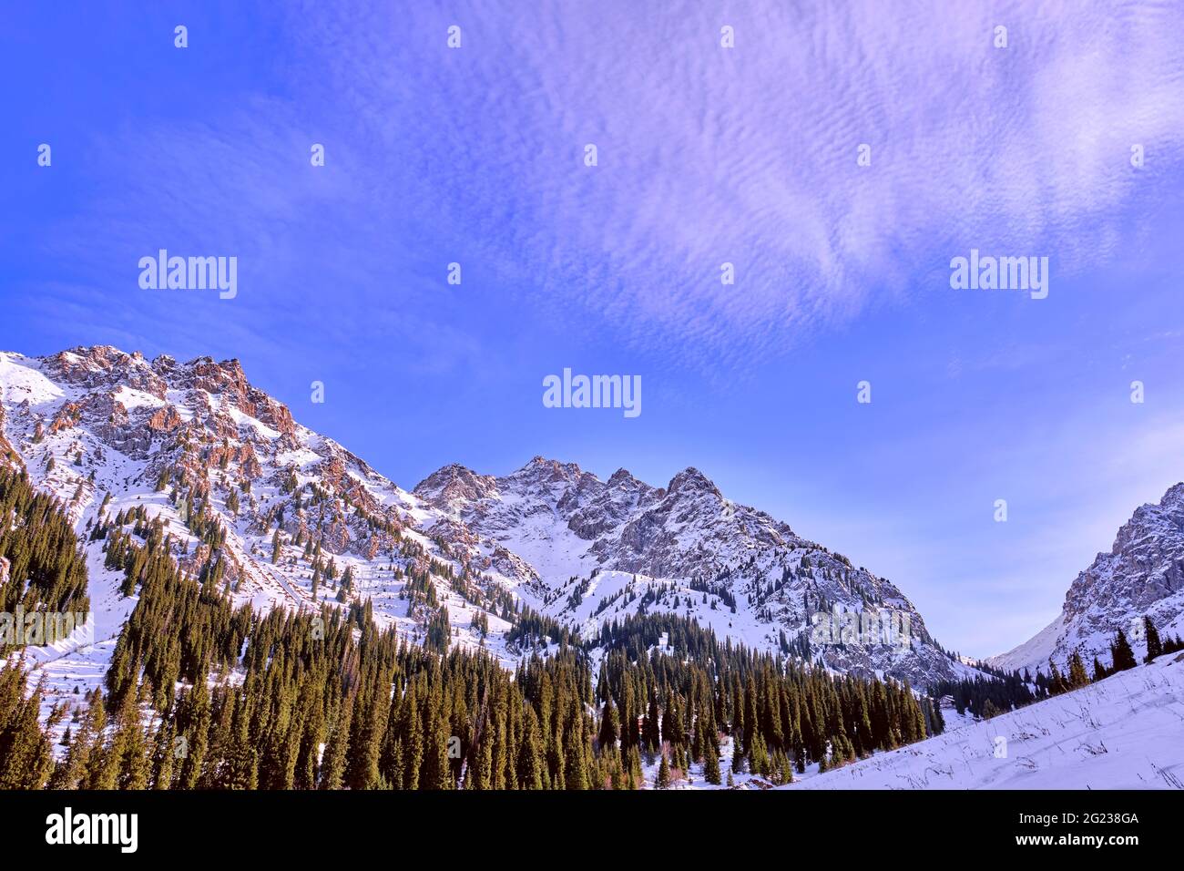Majestic rocky peaks with fir forest against a blue sky with clouds in the winter season Stock Photo