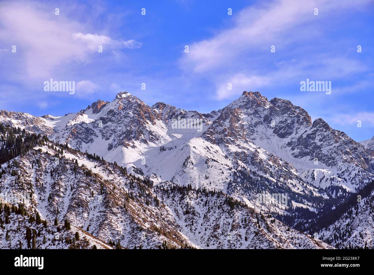 Majestic rocky peaks with fir forest on the background of  blue sky with clouds  in the winter season Stock Photo