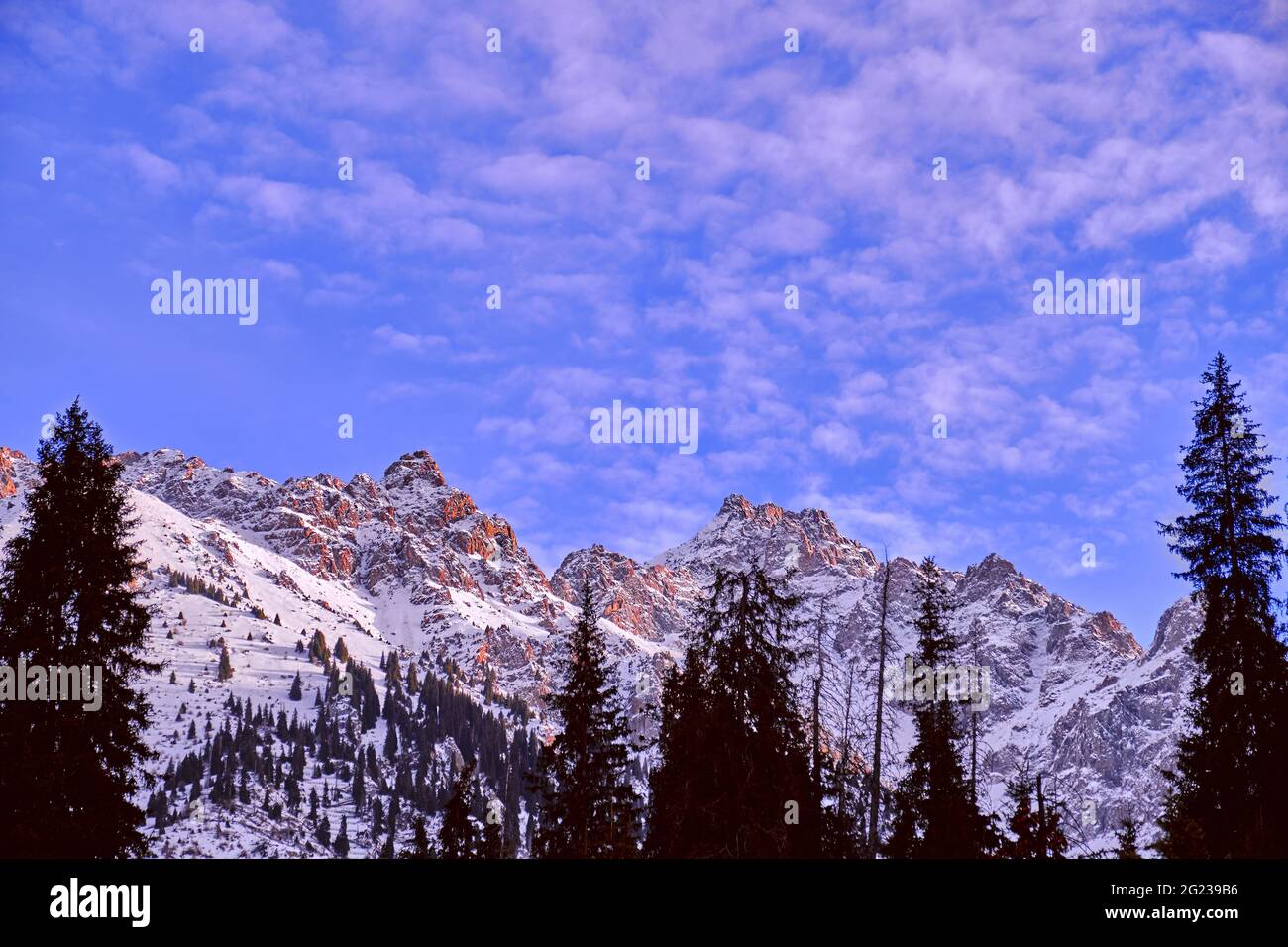 Majestic rocky peaks with fir forest against a blue sky with clouds in the winter season Stock Photo
