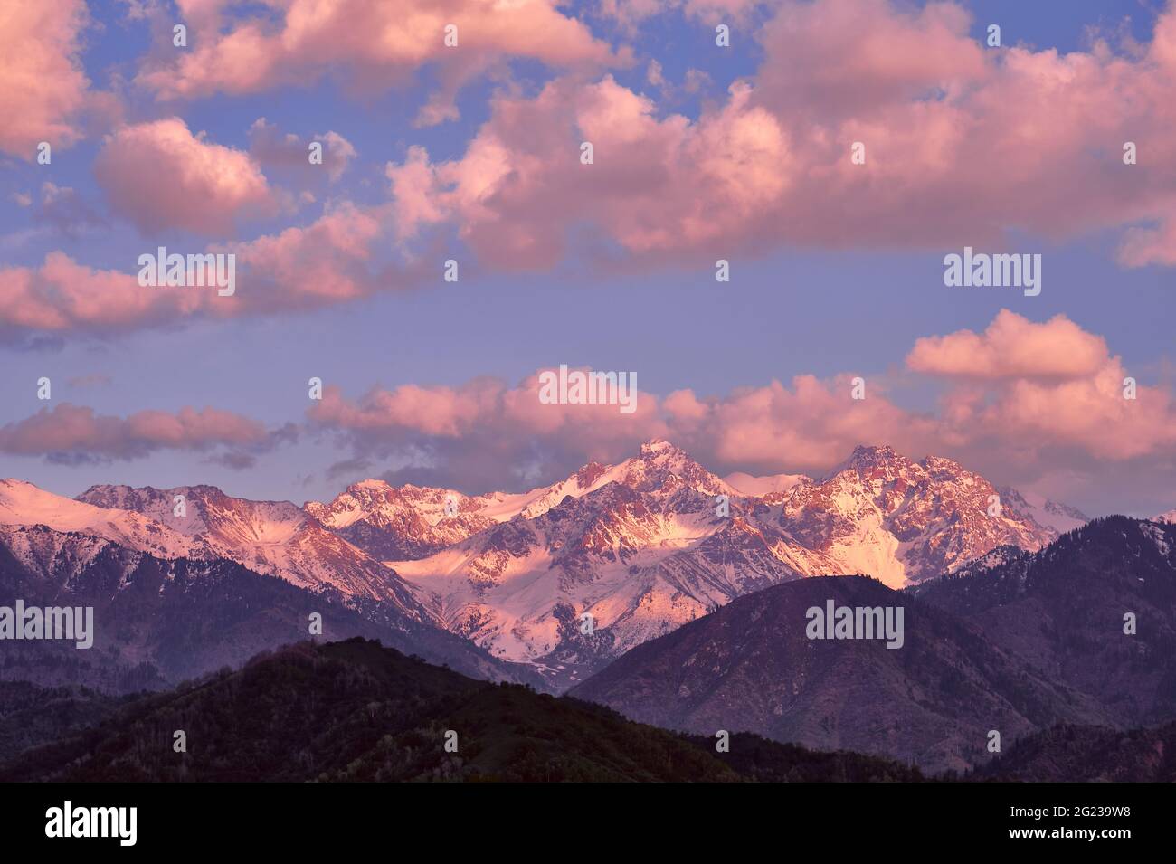 Majestic rocky peaks with fir forest on the background of  blue sky with clouds at sunset Stock Photo