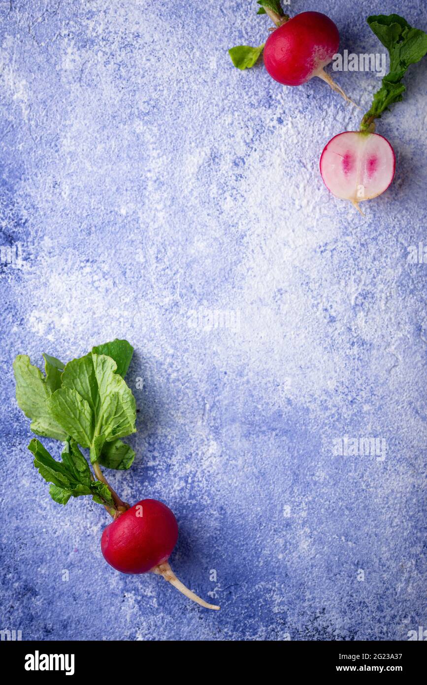 Radish on blue concrete backgrounds Stock Photo
