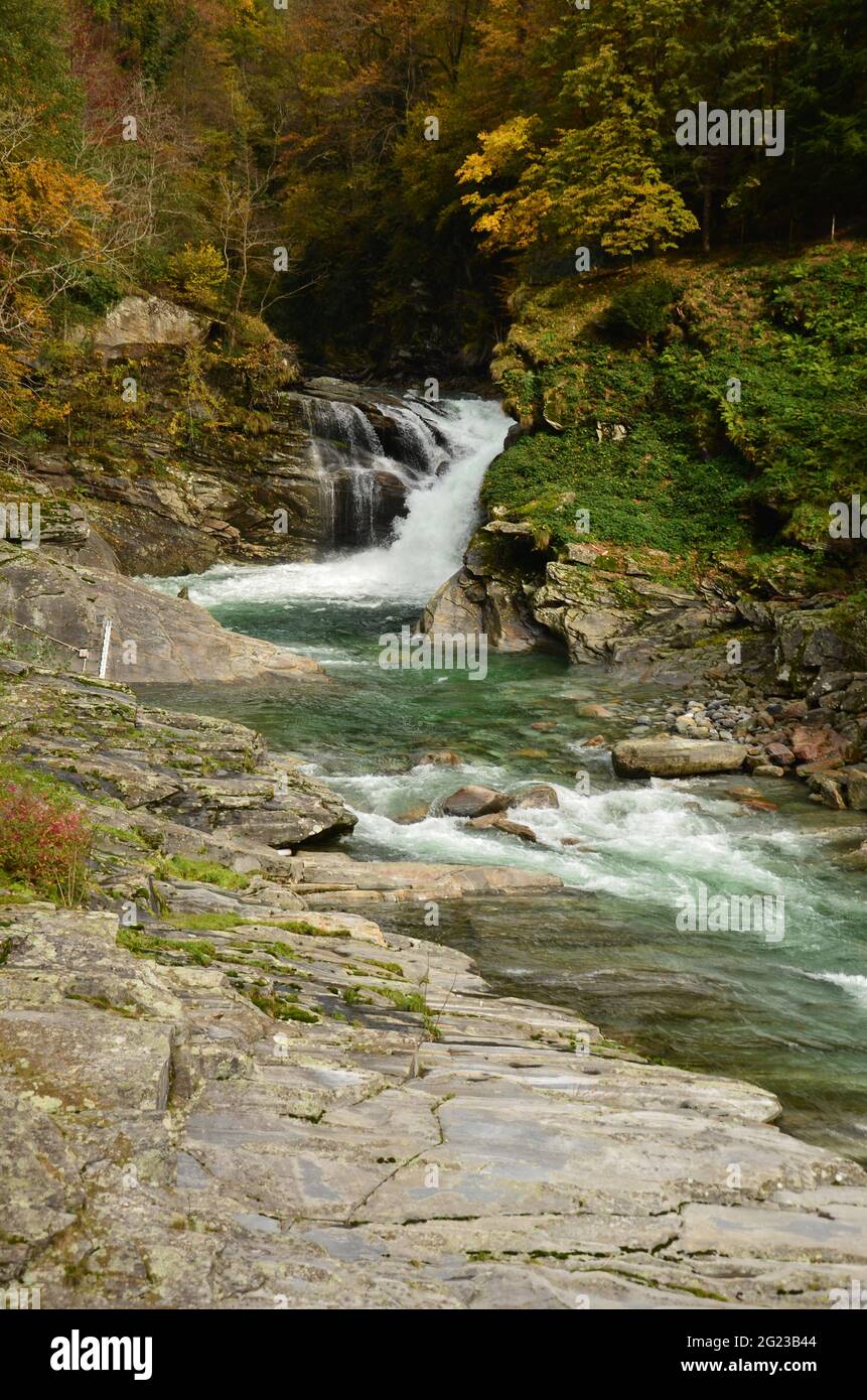Swiss Alps Valley with river between colorful trees and leaves, at cloudy weather at Ticino Valle Maggia, Maggiatal Stock Photo