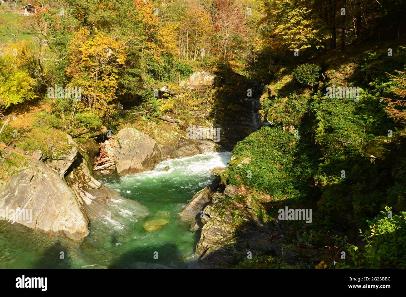 Swiss Alps Valley with river between rocks and trees and leaves, Ticino Valle Maggia, Maggiatal Stock Photo