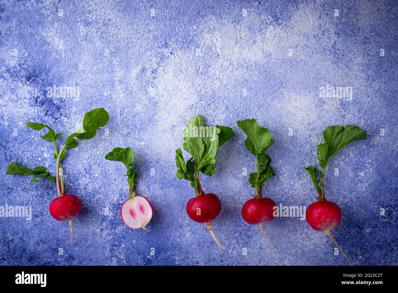 Radish on blue concrete backgrounds Stock Photo