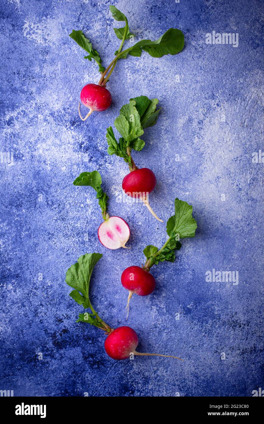 Radish on blue concrete backgrounds Stock Photo
