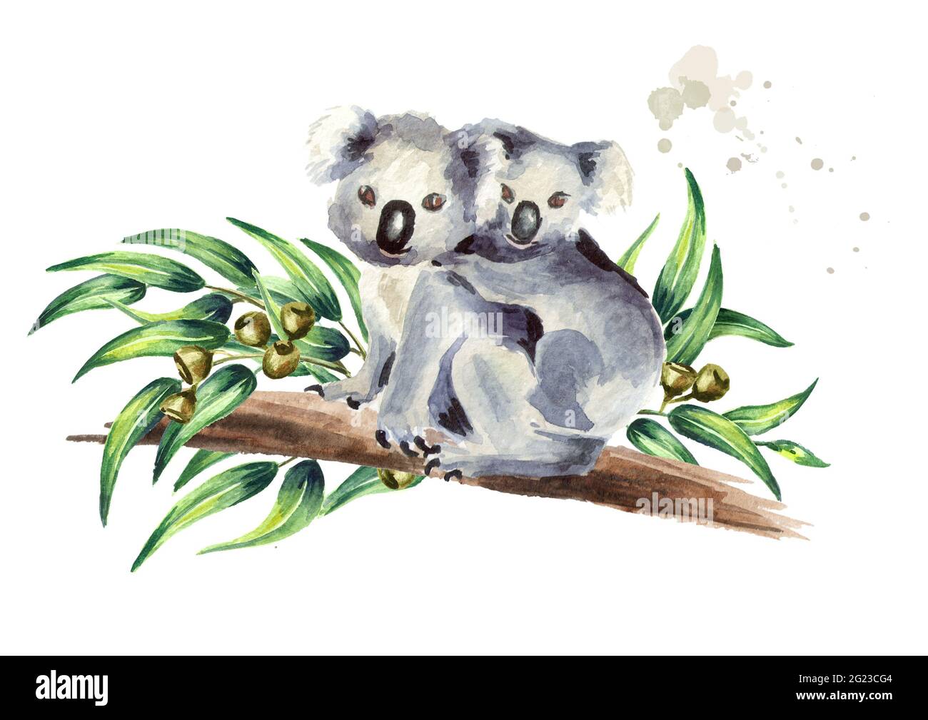 Koala Bear Family In a Tree – drawnbydawn