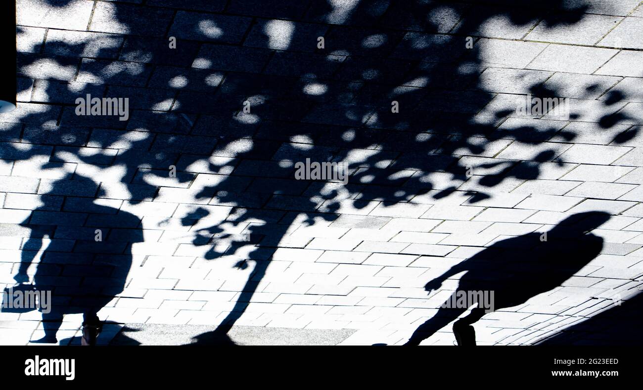 Blurry shadow silhouette of two people standing alone under a tree on a city street sidewalk, in black and white Stock Photo