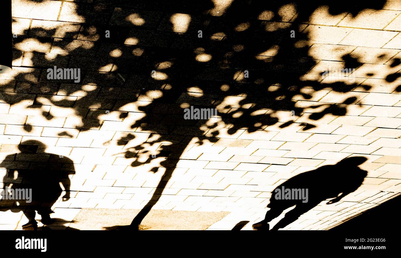 Blurry shadow silhouette of two people walking alone under a tree on a city street sidewalk Stock Photo