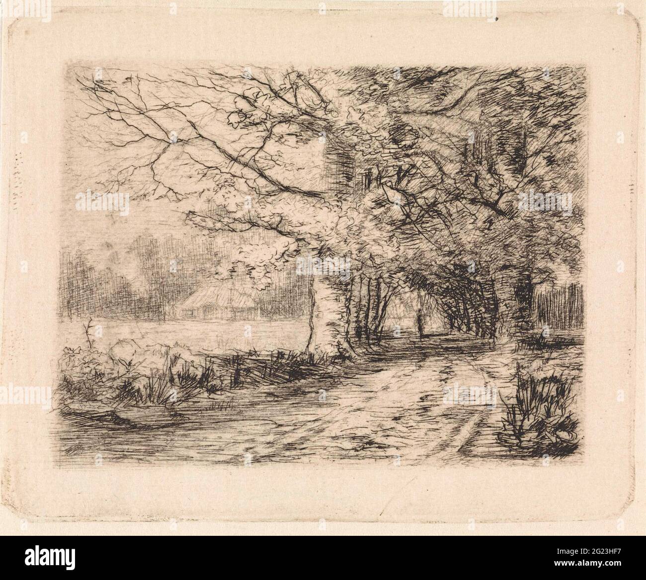Path with trees on either side Stock Photo - Alamy
