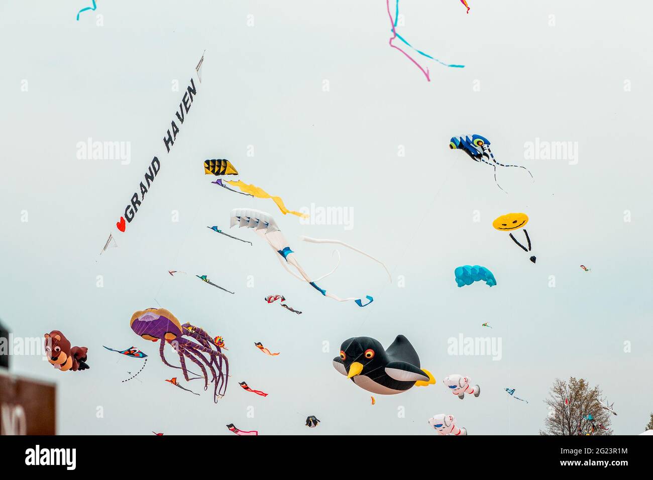 Groups of kites at the kite festival Stock Photo Alamy
