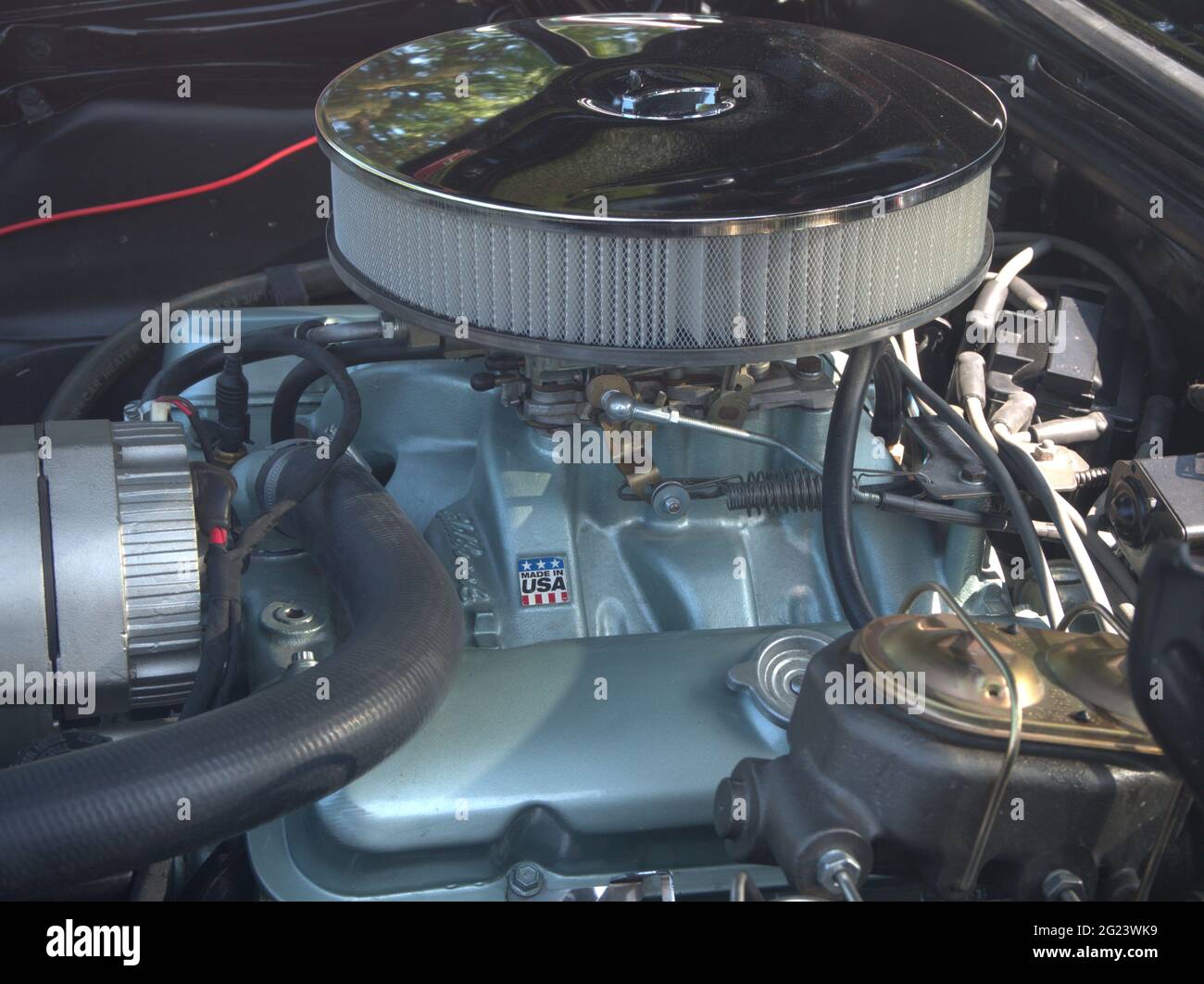 Pontiac Firebird Engine Stock Photo