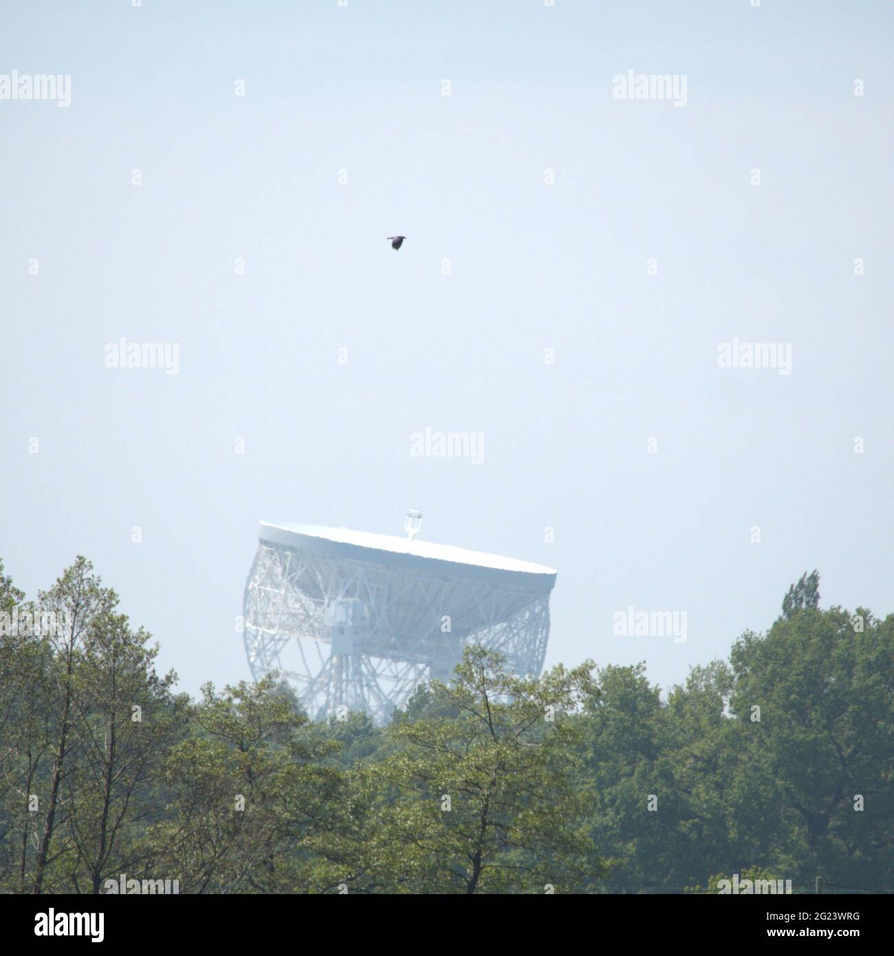 View of the Lovell Telescope from the front Lawn of Capesthorn Hall Stock Photo