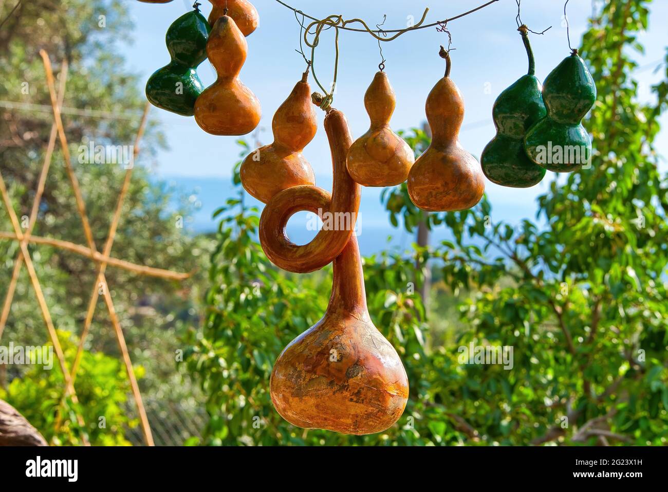 traditional decorative zucchini, water pumpkins, Greek island Stock Photo Alamy