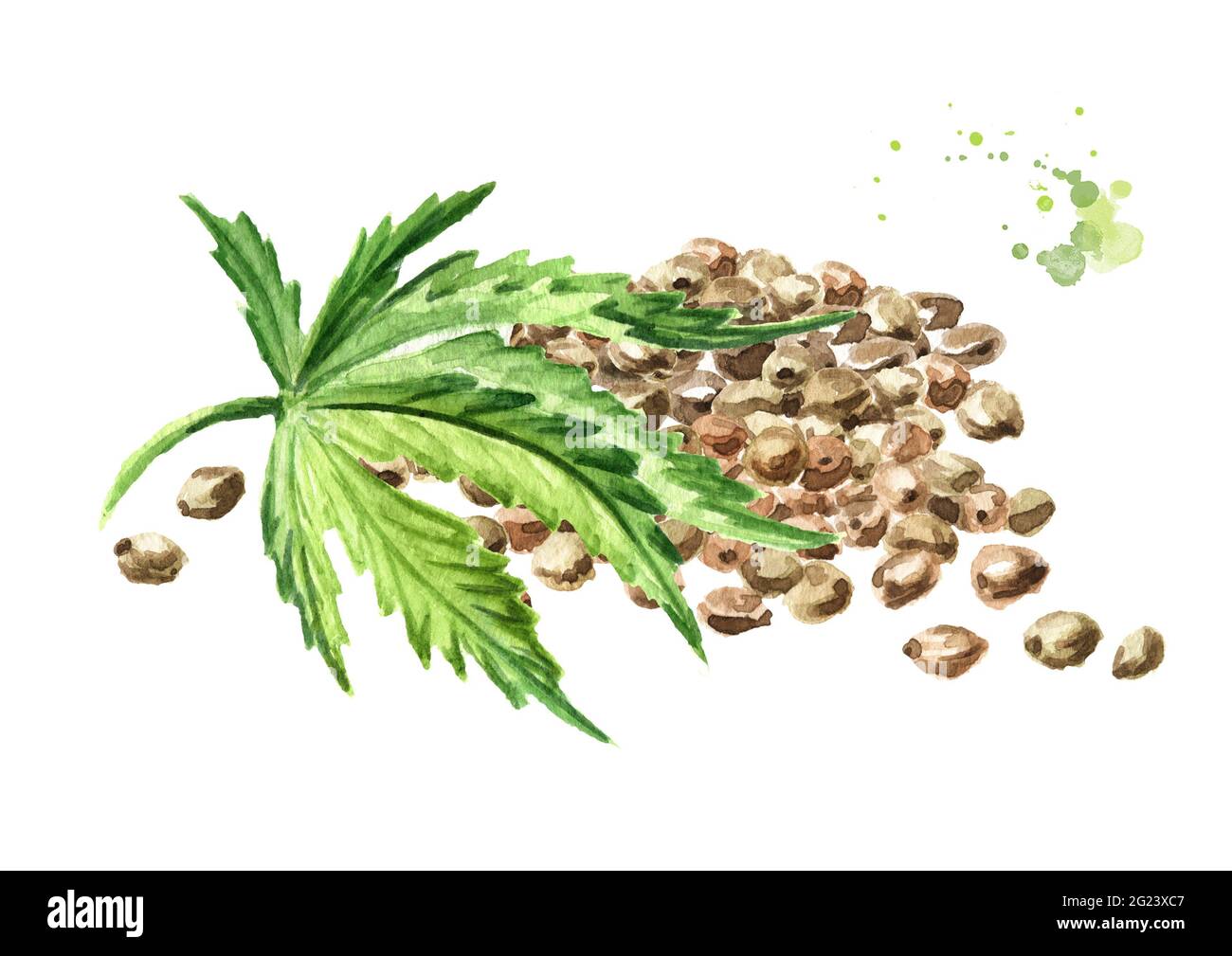 High Stone Семена Конопляные Купить