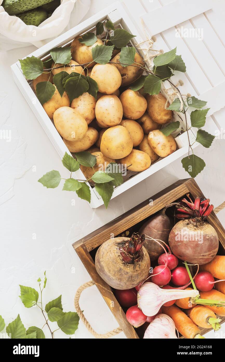Natural farm vegetables in a wooden boxes on a white background. Eco friendly fruits and vegetables packaging and storage. Selling seasonal vegetables Stock Photo