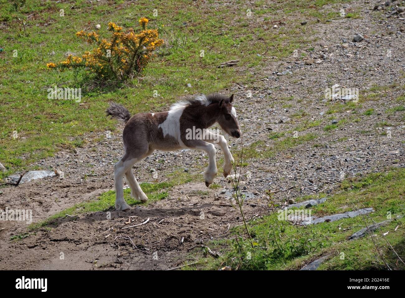 High springy steps hi-res stock photography and images - Alamy