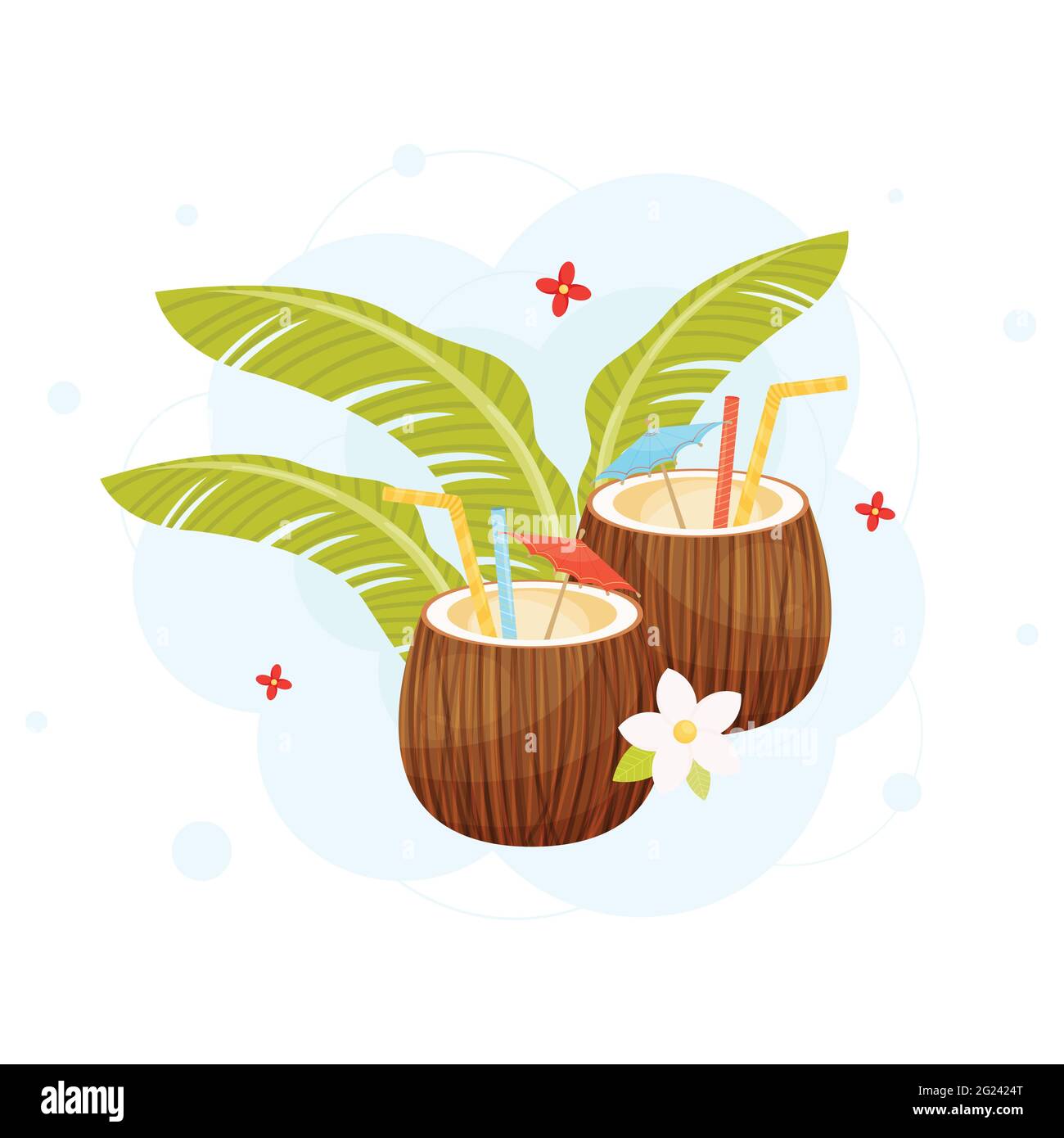 Exotic coconut cocktail drinks, vector illustration Stock Vector Image