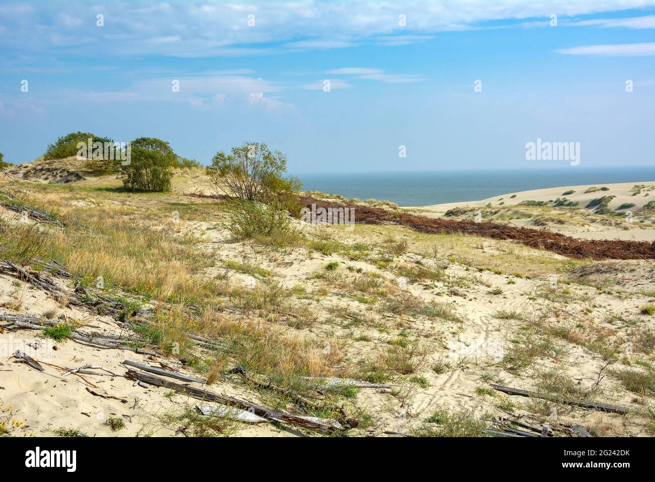 A distinctive landscape of sand dunes on the Curonian spit, the Kaliningrad region Stock Photo
