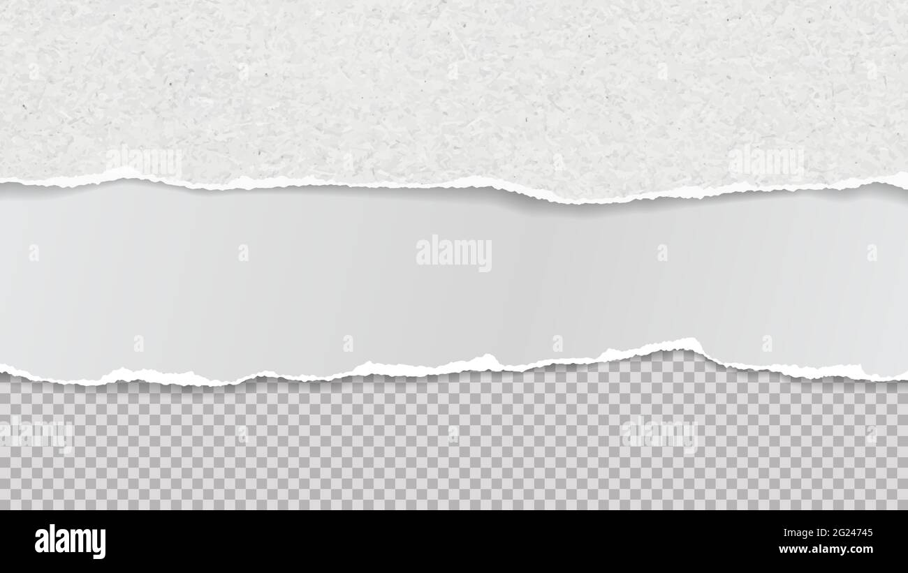 White Ripped Text Background Torn, ripped white paper strips with soft shadow are on squared ...