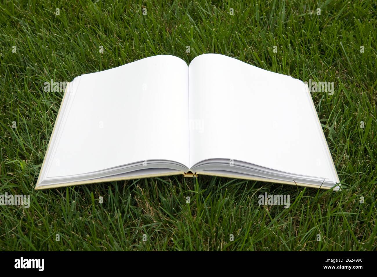 Open book with blank pages on grass Stock Photo