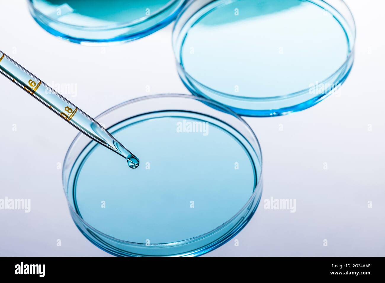 Petri dish with blue liquid and pipette Stock Photo - Alamy