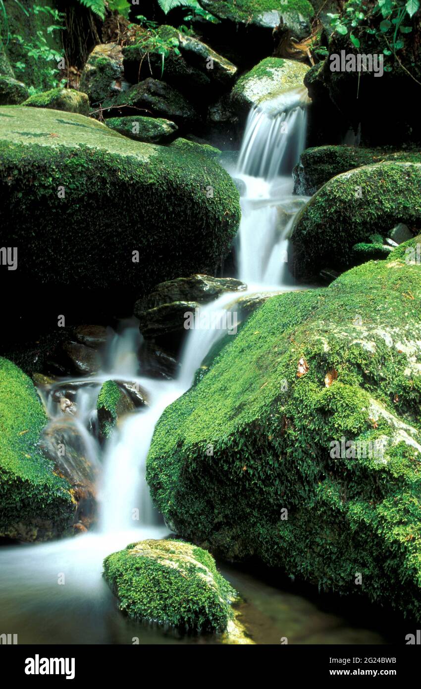 Mountain stream flowing among stones hi-res stock photography and ...
