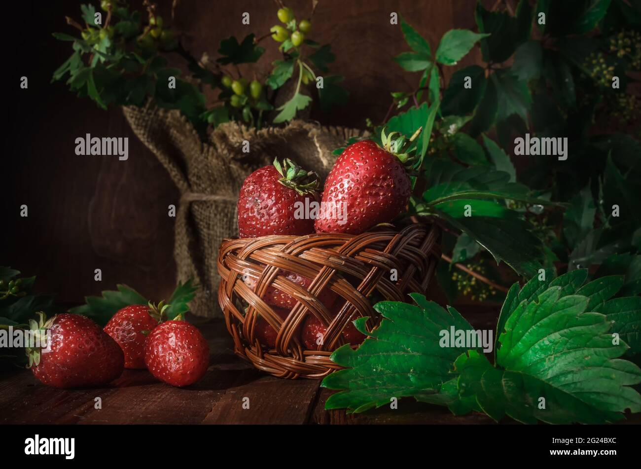 berries of ripe strawberries on a dark wooden background in a rustic ...