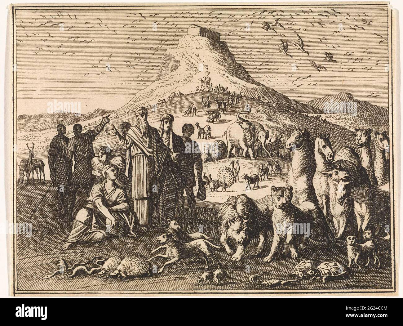 Noah, his family and the animals leave the ark Stock Photo Alamy