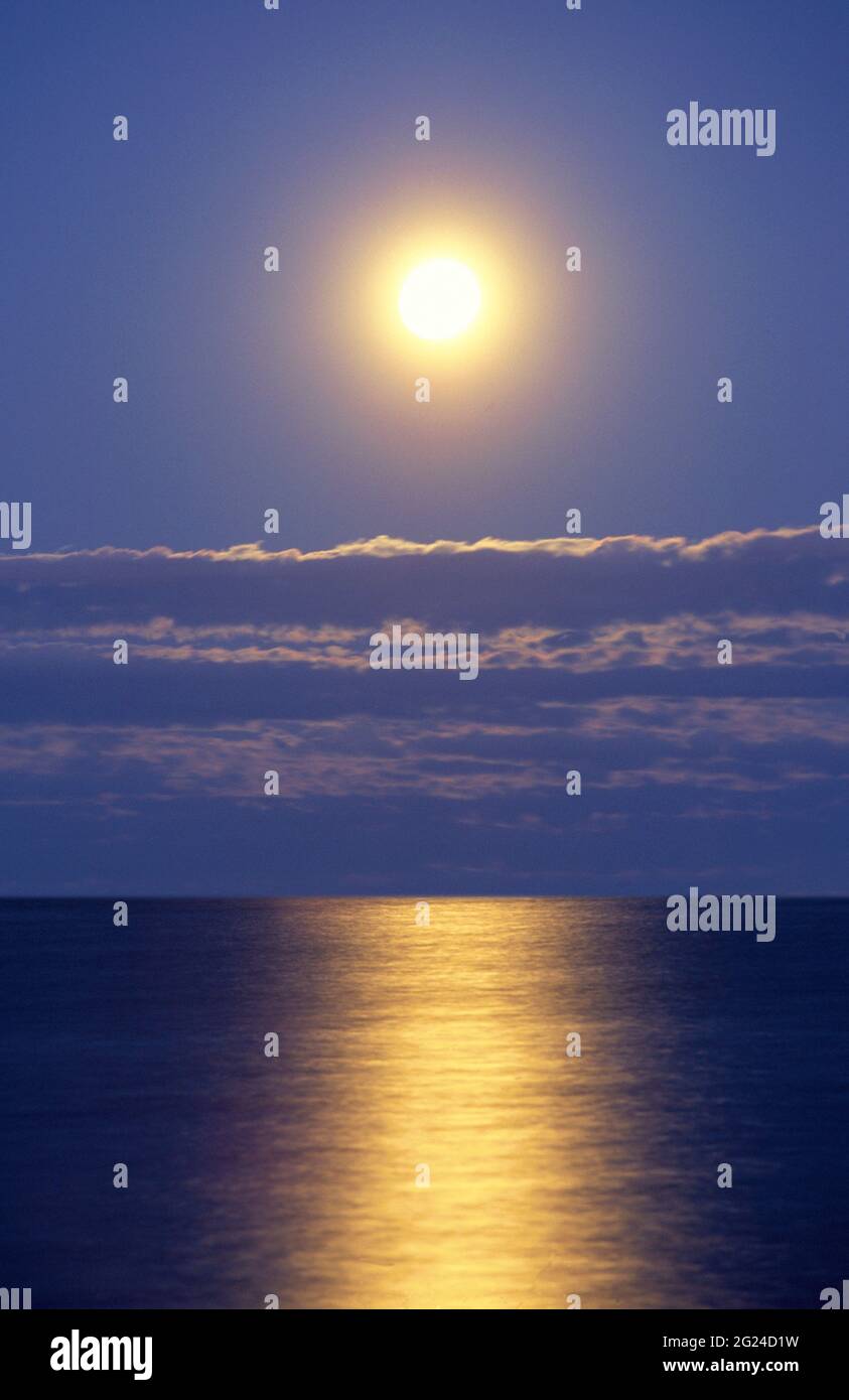 Full Moon Miami Beach